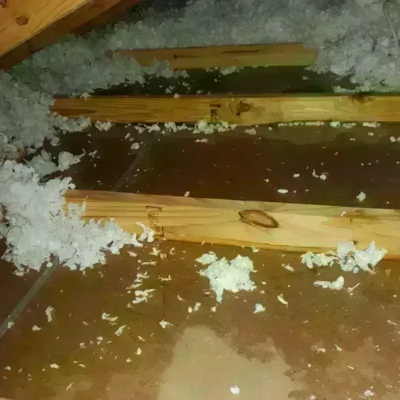 Attic Water Damage in Orangeburg, SC