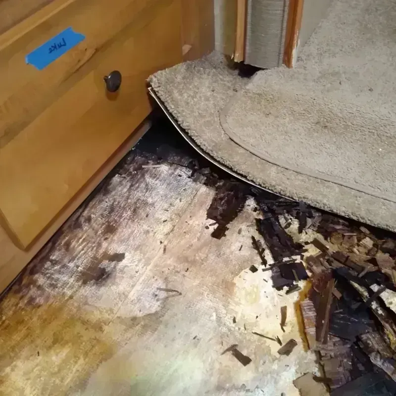 Wood Floor Water Damage in Orangeburg, SC